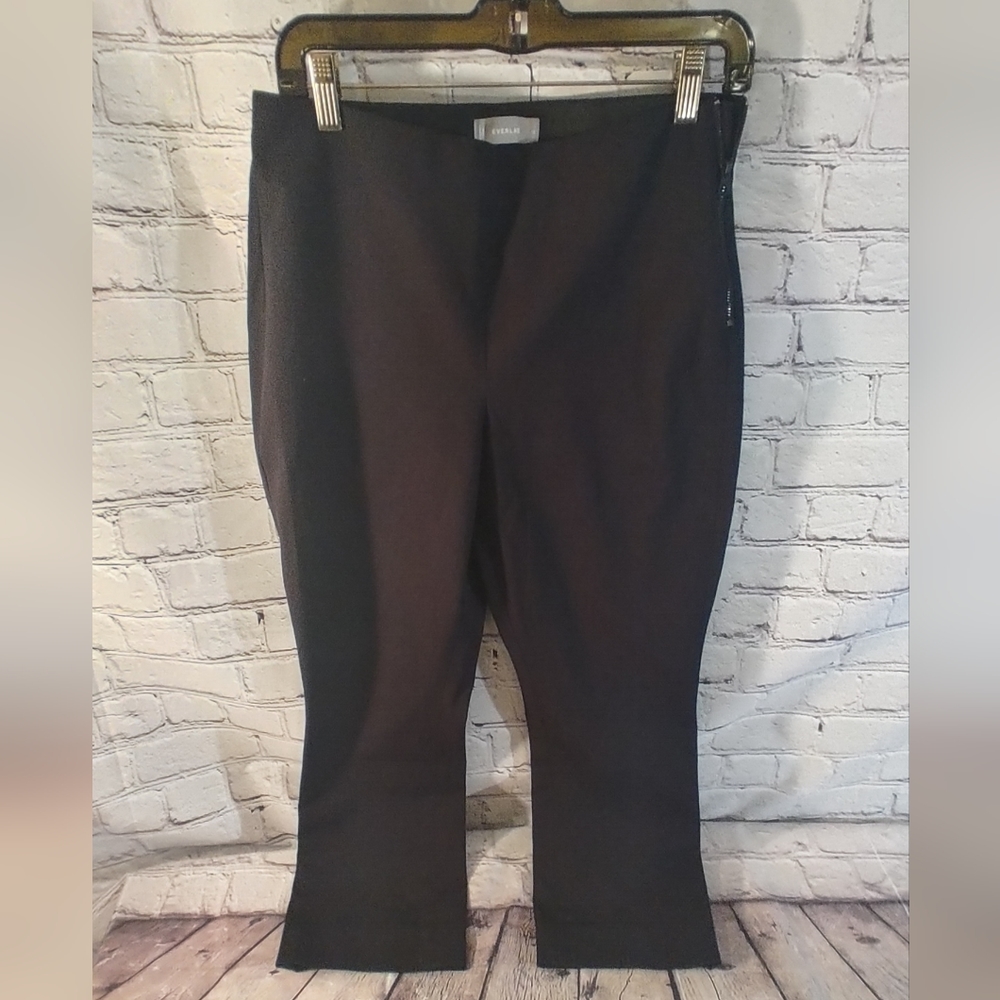 Everlane Size 10 Black Side Zipper Pants Black